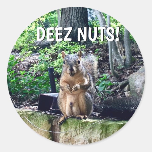 Funny Squirrel Deez Nuts Inappropriate Humor Photo Classic Round Sticker (Front)