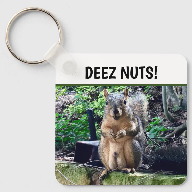 Funny Squirrel Deez Nuts Inappropriate Humor Photo Keychain | Zazzle Funny Squirrel Deez Nuts Inappropriate Humor Photo Keychain | Zazzle