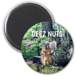Funny Squirrel Deez Nuts Inappropriate Humor Photo Magnet