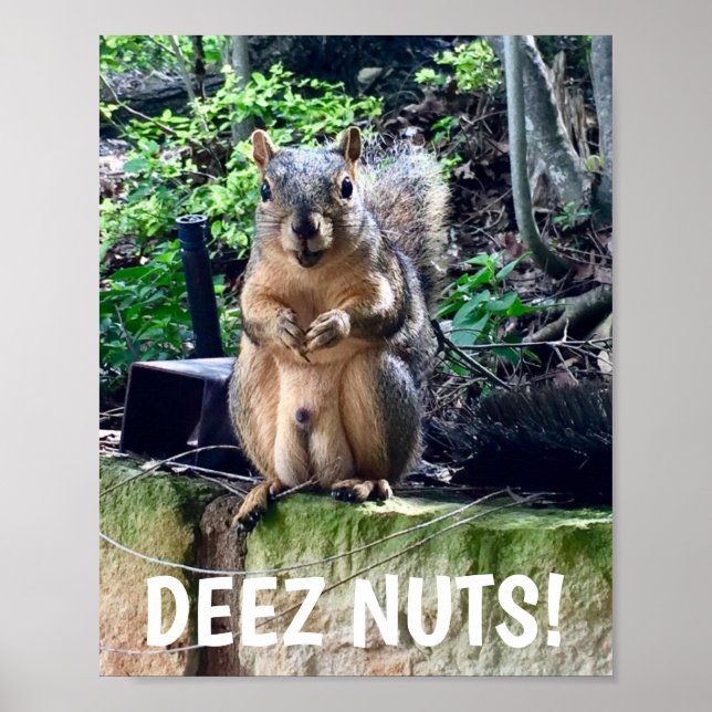 Funny Squirrel Deez Nuts Inappropriate Humor Poster (Front)
