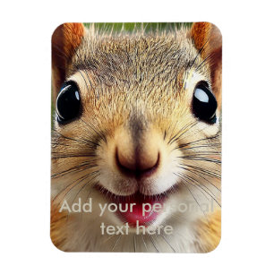 Funny Squirrel Fridge Magnet - Cute and Quirky Kit