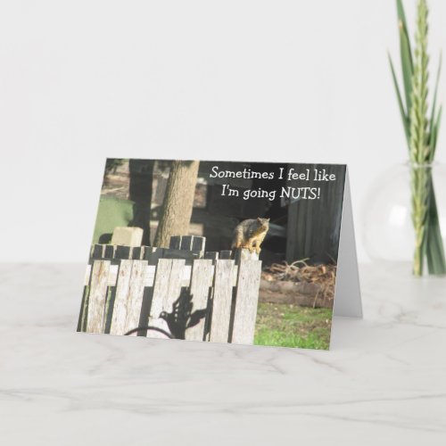 Funny Squirrel Friendship Support Card