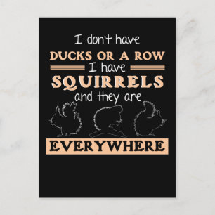 Funny Squirrel Garden Humor Squirrels Joke Postcard