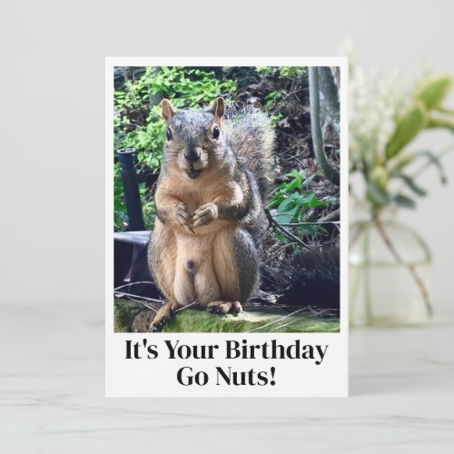 Funny Squirrel Go Nuts Its Your Birthday Card