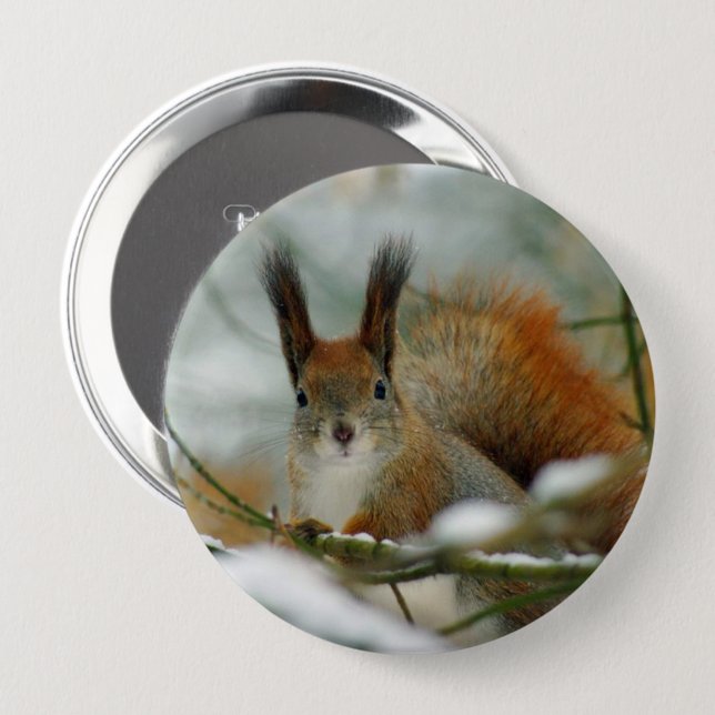 Funny Squirrel in Winter Button (Front & Back)