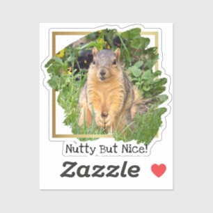 Funny Squirrel Nutty But Nice Sticker