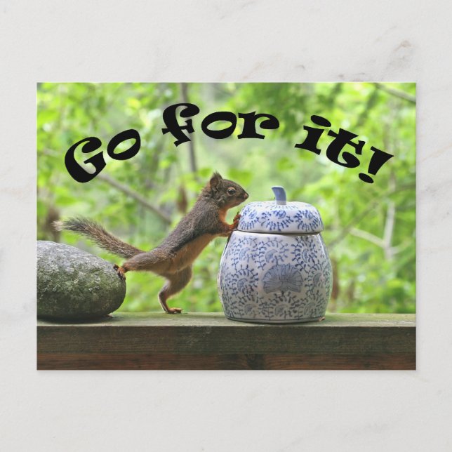 Funny Squirrel Picture ~ Go For It! Postcard (Front)