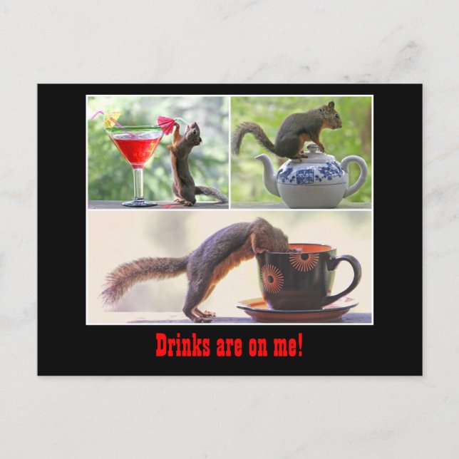 Funny Squirrel Postcard (Front)