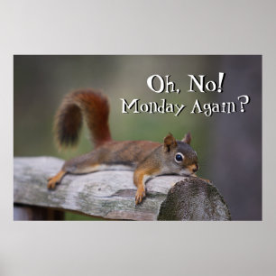 Funny Squirrel Poster