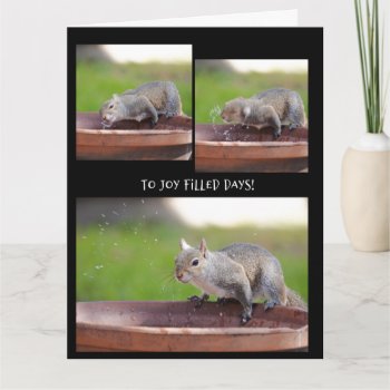 Funny Squirrel Retirement From The Gang Card by PicturesByDesign at Zazzle