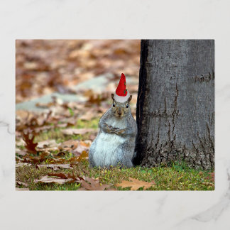 Funny Squirrel Santa Christmas postcard