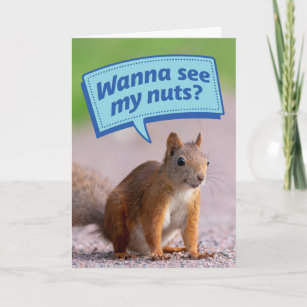 Funny Squirrel - Wanna See My Nuts? Birthday Card