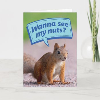 Funny Squirrel - Wanna See My Nuts? Birthday Card by CimZahDesigns at Zazzle