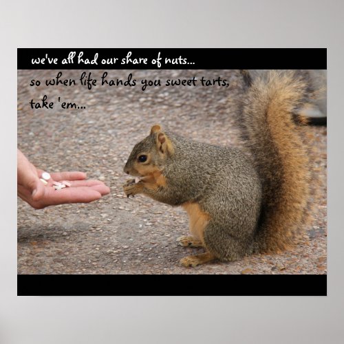 Funny Squirrel  when life hands you sweet tarts Poster