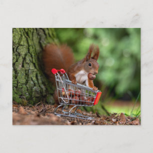Funny Squirrel with Shopping Cart - Squirrel Humor Postcard