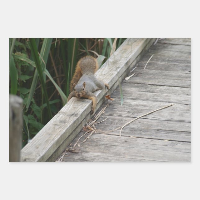 Funny Squirrel Wrapping Paper Sheets (Front)