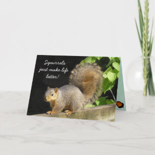 Funny Squirrels make life Better Friendship Card