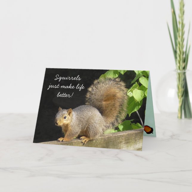 Funny Squirrels make life Better Friendship Card (Front)