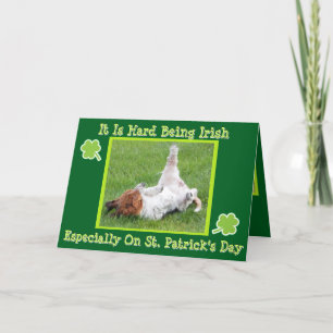 Funny St. Patrick's Day Card w/Basset & Green Beer