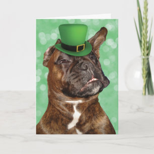 Funny St. Patrick's Day Irish Boxer Dog Card