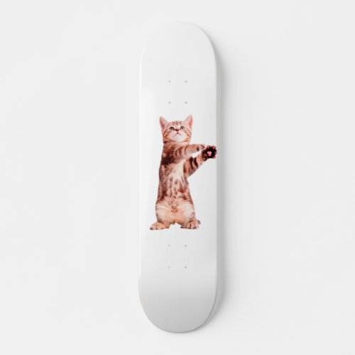 Funny standing playful kitten skateboard