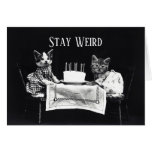 Funny stay weird vintage birthday kittens cat