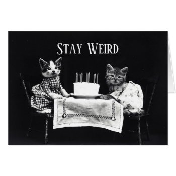 Funny Stay Weird Vintage Birthday Kittens Cat by thecatshoppe at Zazzle