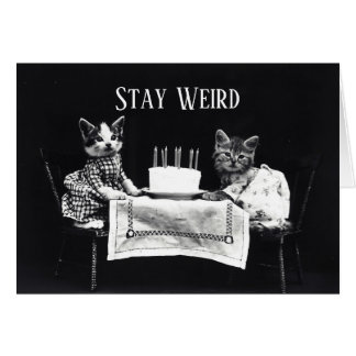 Funny stay weird vintage birthday kittens cat cards