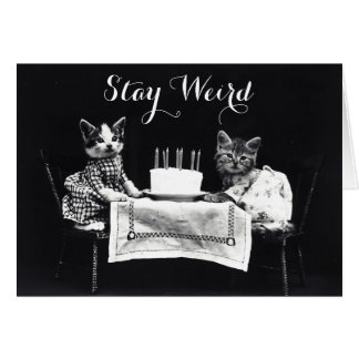 Funny stay weird vintage dressed up kitten cat