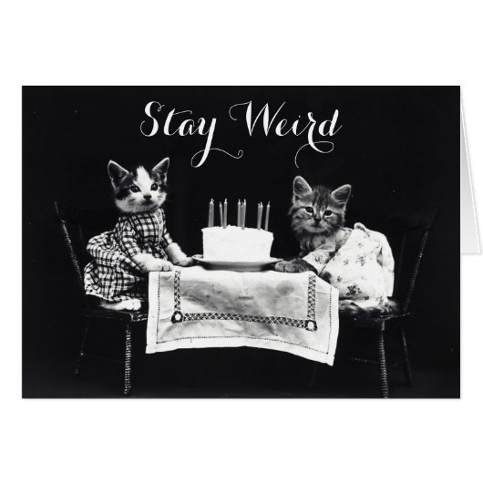 Funny stay weird vintage dressed up kitten cat (Front Horizontal)
