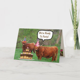 Funny Steer and Cake Birthday Card