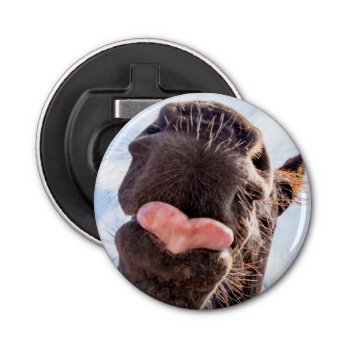 Funny Straight From The Horse's Mouth Photo Bottle Opener by ICandiPhoto at Zazzle