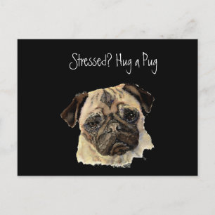 Funny, Stressed? Hug a Pug!, Dog, Pet, Animal Postcard