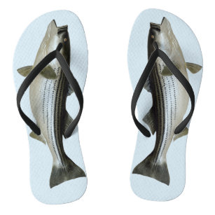 funny_striped_bass_for_the_fisher_flip_flops-rb7bf07472679405bb8e76a35e18915b1_jhc7z_307.jpg