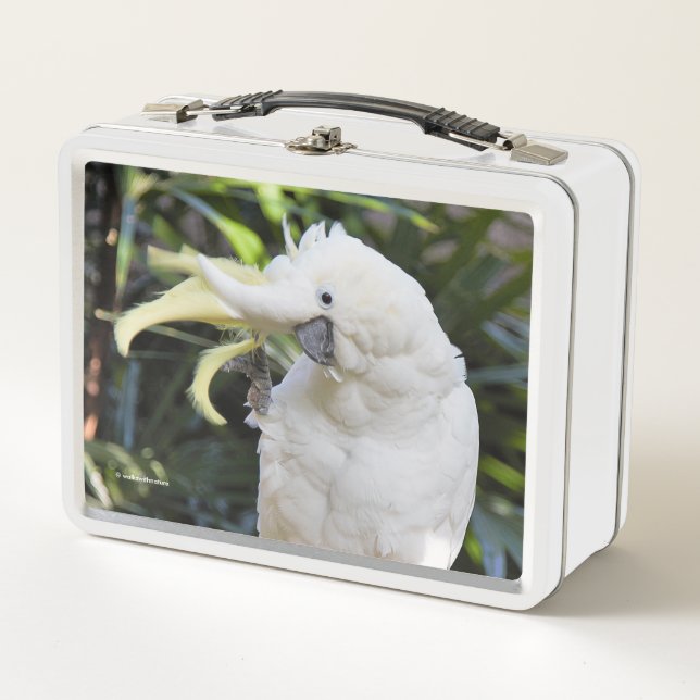 Funny Sulfur-Crested Cockatoo Parrot Bird Waves Metal Lunch Box (Front)