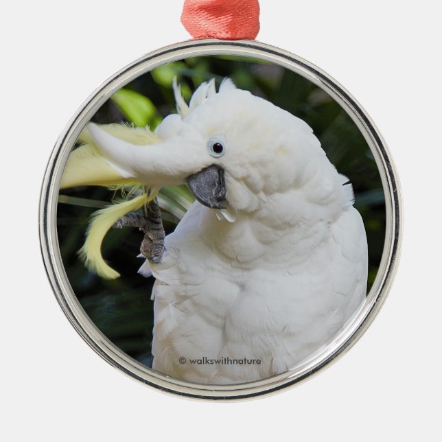Funny Sulfur-Crested Cockatoo Parrot Bird Waves Metal Ornament (Front)