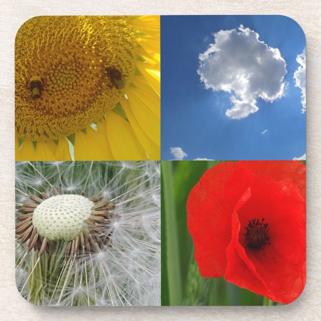 Funny Summer Flowers Beverage Coaster (Front)