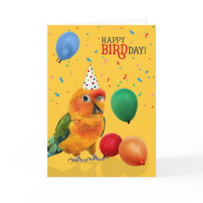Funny Sun Conure Parrot Birthday Card