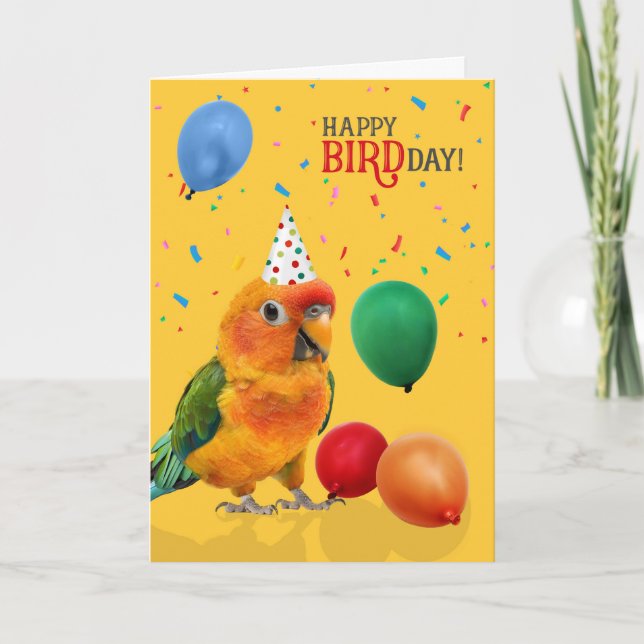 Funny Sun Conure Parrot Birthday Card (Front)