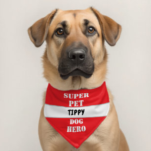 Funny Super Pet Dog Hero Name Bandana Collar