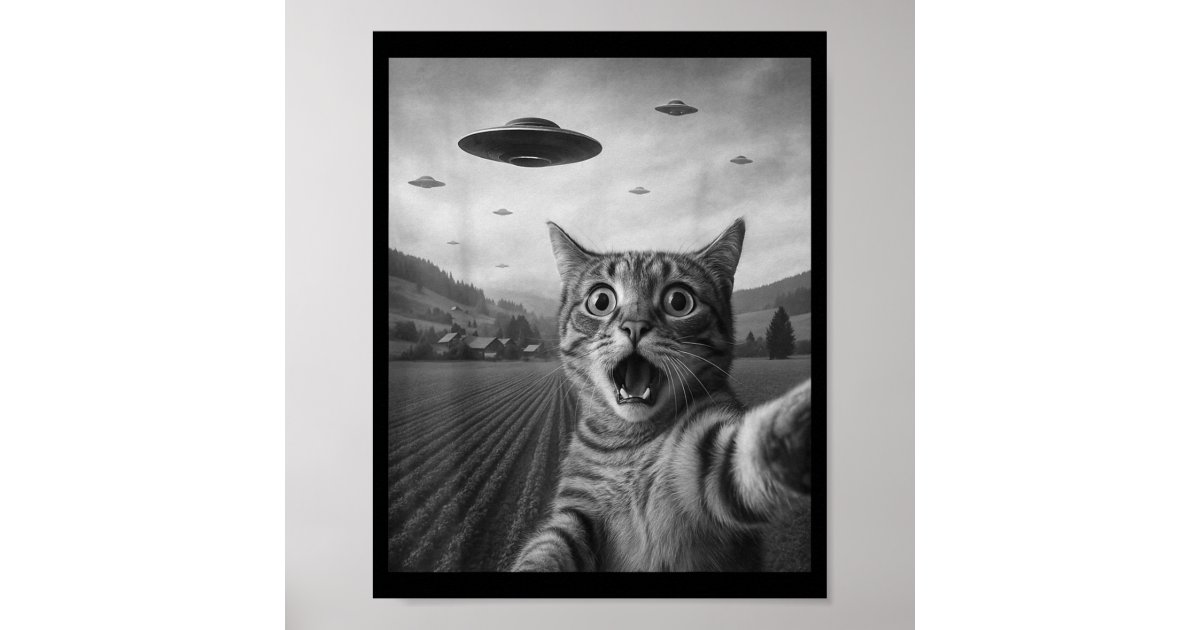 Funny Surprised Ed Cat Selfie With Alien Ufo Cat U Poster | Zazzle