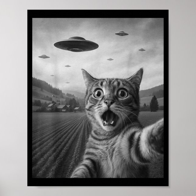 Funny Surprised Ed Cat Selfie With Alien Ufo Cat U Poster (Front)