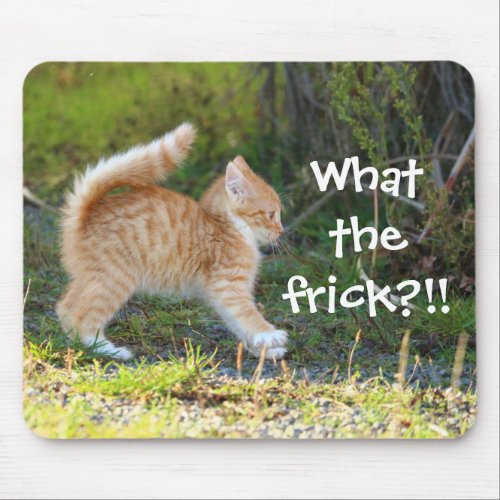 Funny Surprised Ginger Kitten What the frick Mouse Pad