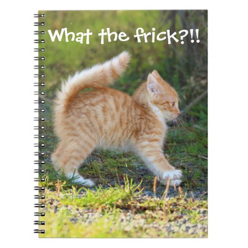 Funny Surprised Ginger Kitten What the frick Notebook