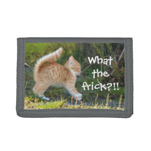 Funny Surprised Ginger Kitten. What the frick? Tri-fold Wallet