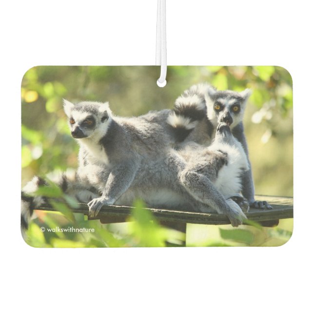 Funny Surprised Lemurs of Madagascar Air Freshener (Front)