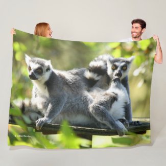 Funny Surprised Lemurs of Madagascar