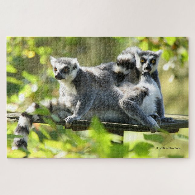 Funny Surprised Lemurs of Madagascar Jigsaw Puzzle (Horizontal)