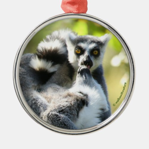 Funny Surprised Lemurs of Madagascar Metal Ornament