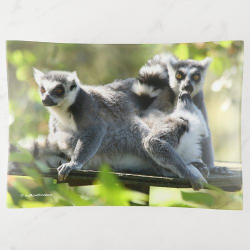 Funny Surprised Lemurs of Madagascar Trinket Tray